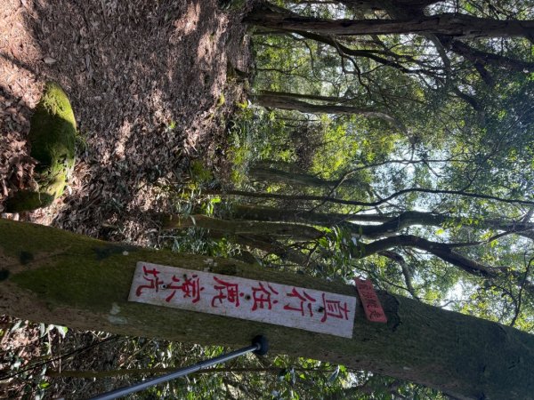 20260221 飛沙新路3003426