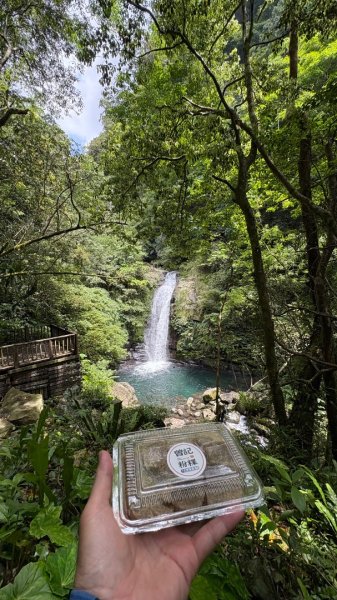 戲水（鴛鴦2786744