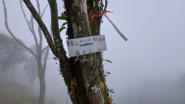 110/12/12田薯縱走O型(田寮山-毬子山-水頭排山-鎮石山-薯園山)1553668