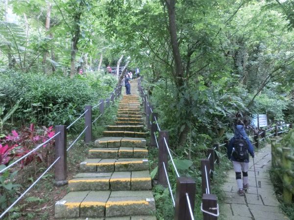 承天禪寺．天上山．桐花公園123407