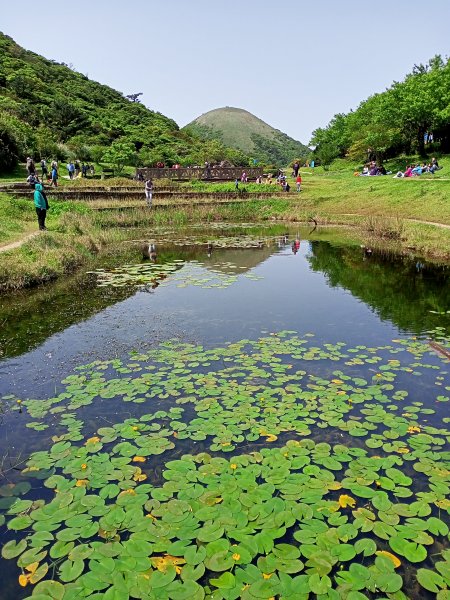 【臺北大縱走 2】【台北-臺灣百大必訪步道】湖光山色的二子坪步道、陡上陡下的大屯山西峰1338030