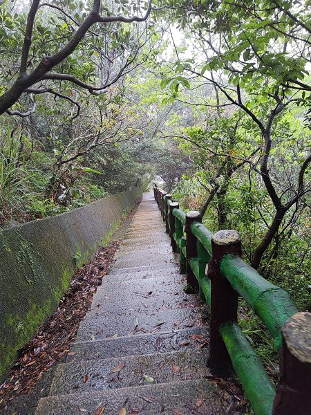 20260327茶壺山3024501