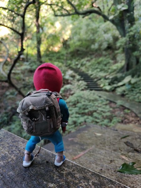 2023.12.14 紅淡山2826459