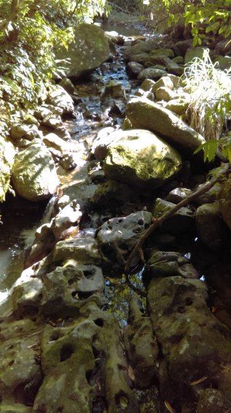 【臺北大縱走7】貓空壺穴、優美的茶香步道804921