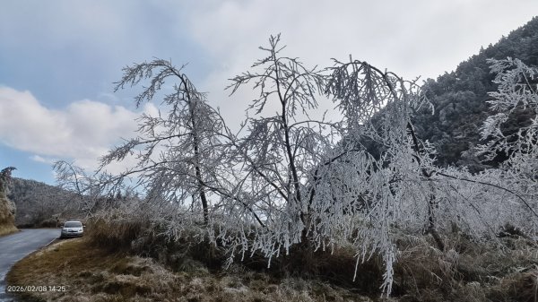 #霧淞 #雲海 #雲瀑 #霧虹 #太平山 #望洋山 #觀雲步道 #翠峰道路  2/82995368