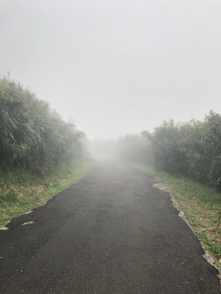 大屯山主峰步道鞍部登山口至主峰715826