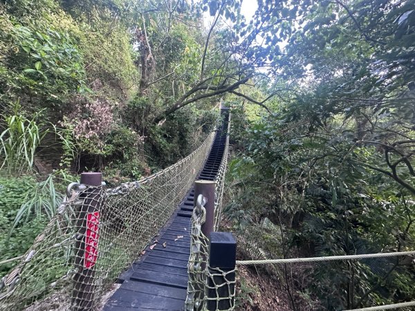 楓仔林步道、蝙蝠洞、護國清涼寺、草嶺步道2663913