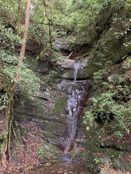 20250517義義兒玉山-東水山2791725