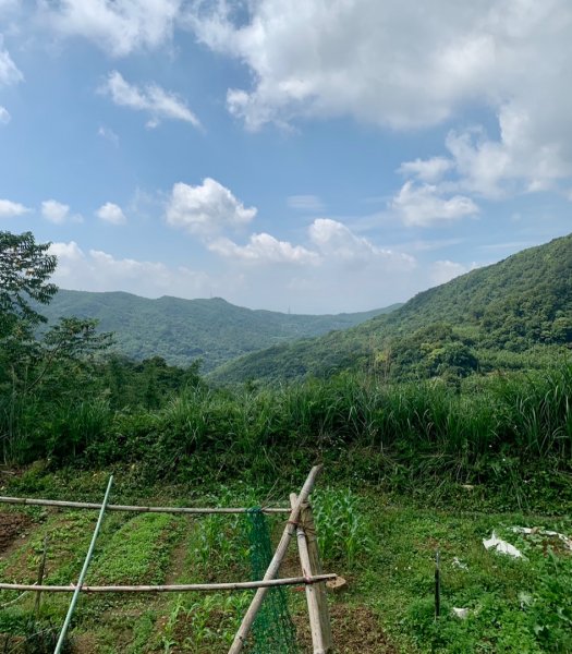 坪頂古圳親山步道1690077