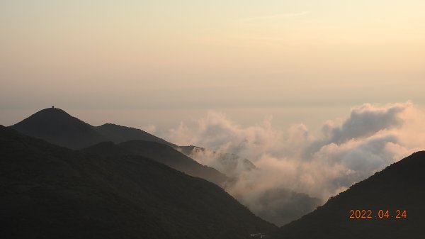 4/24陽明山再見雲瀑&觀音圈-雲山水花鳥蝶-天龍國阿伯的日常-首拍守城滿山紅&端紅蝶交尾1686997