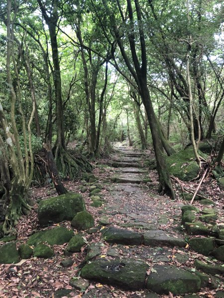 走遍陽明山-魚路古道2171259