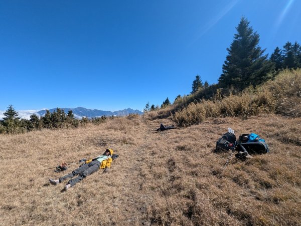 2025/228 武陵四秀2926736