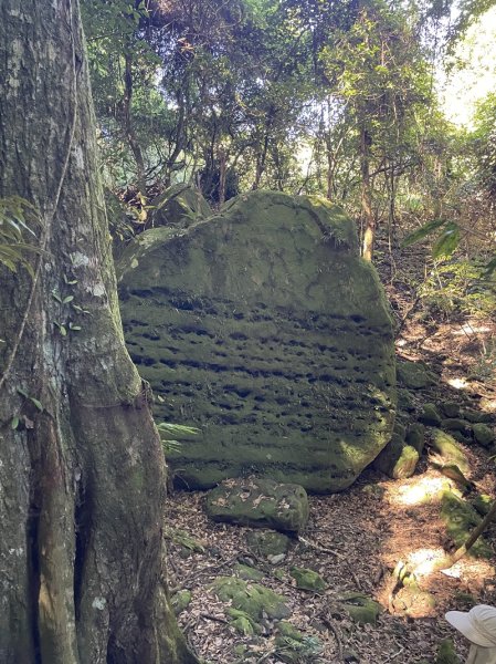 加里山隘勇線2913125