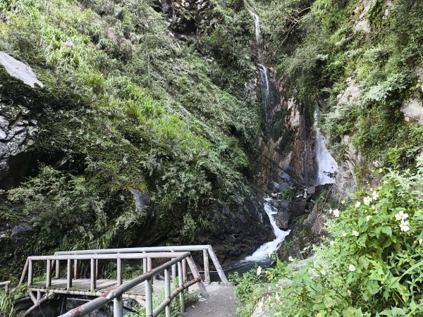 [玉山尋寶任務-07/12] 2025_0824 八通關雲龍瀑布步道2870693