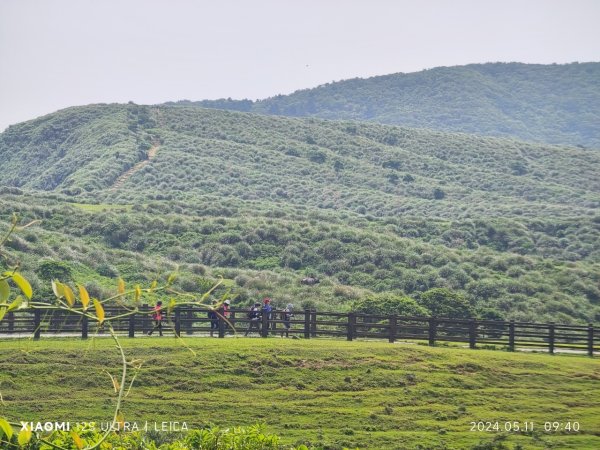 陽明山東西大縱走2610121