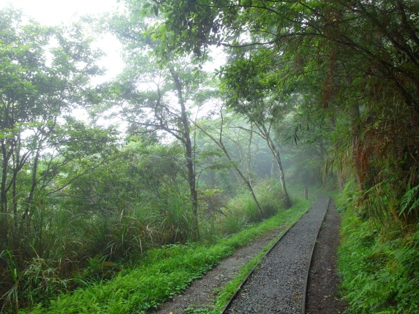 太平山之見晴懷古步道43075