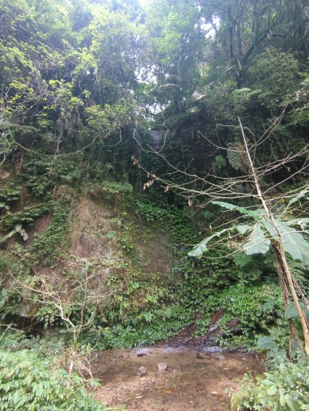 2026.03.08－微笑山線：【二格山系】銀河洞越嶺段&貓空纜車3014657