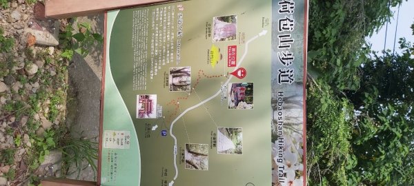 荷苞山登山步道2630704