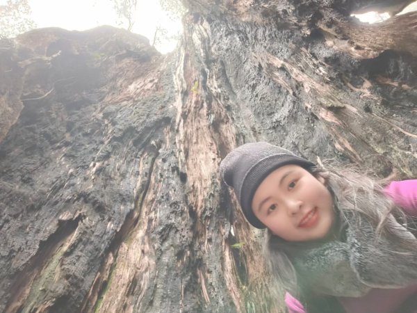 雪季北得拉曼2956436