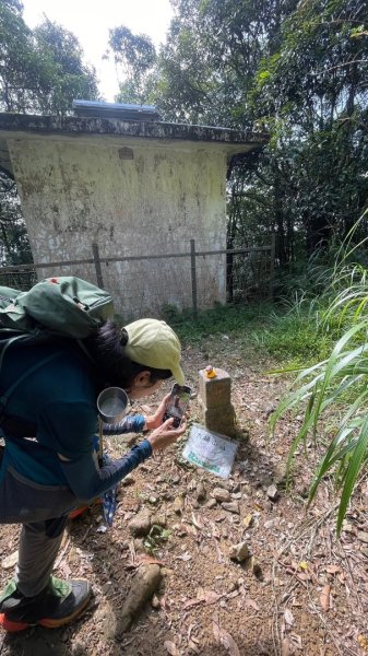 烏來大桶山野餐輕鬆愜意行2630312