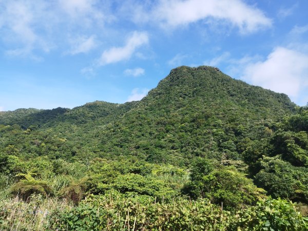 [新北雙溪][七]網形山鞍部、網形山、豎旗山南峰、豎旗山、烏山尖、三分二山、三分二