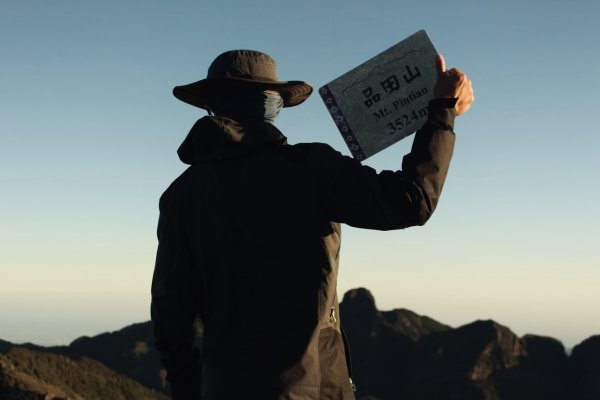 武陵二秀3114783