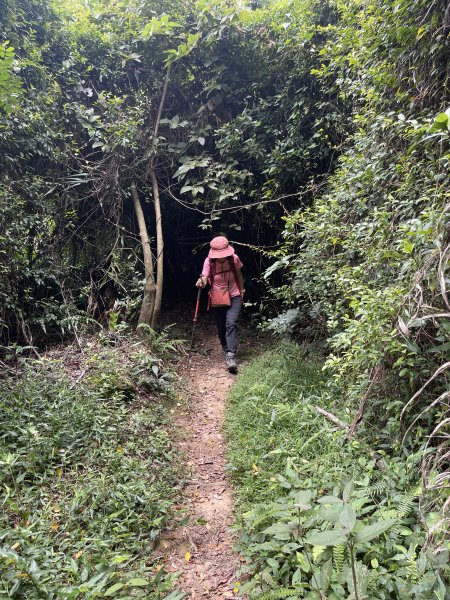 關西赤柯山+東獅頭山 O繞 202307262232672