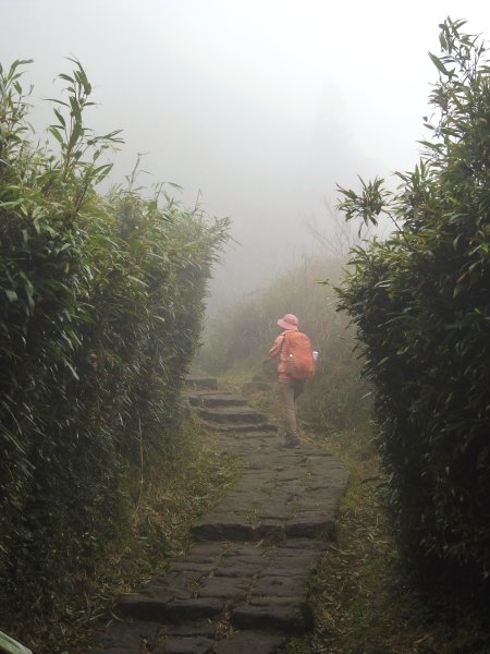 七星山 冷水坑上小油坑下環七星山人車分道O繞 202511082934878