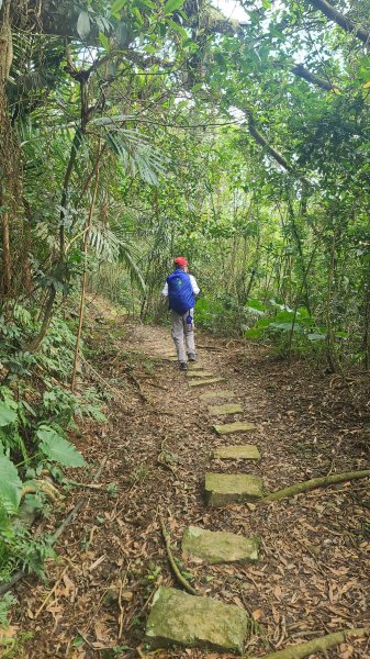 2025-01232淡蘭古道北二段(燦光寮古道到澳底)2696685