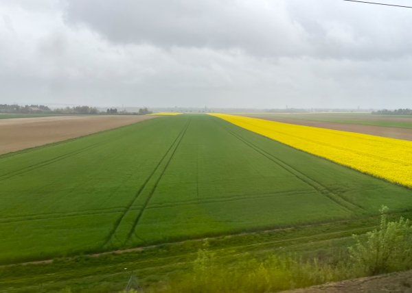 2025_0423 倫敦馬拉松順遊西歐 D5a(盧森堡往法國巴黎)2787087