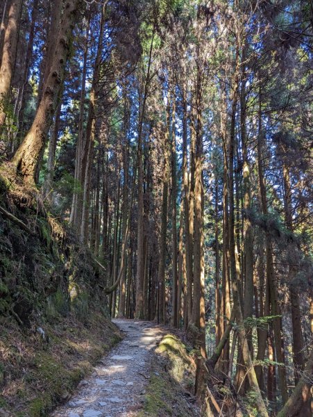 2023.02.25－檜山巨木森林步道2042051