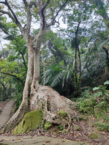 淡蘭南路2+1逆走2671838