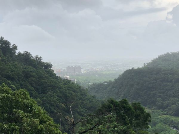 聖母登山步道410498