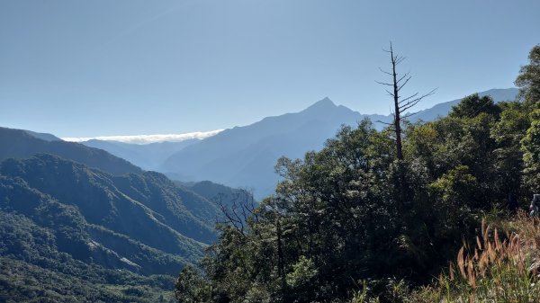 大母母山、麻留賀山1541721