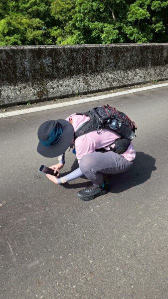 淡蘭古道第三段（我的淡蘭最終章）2838788