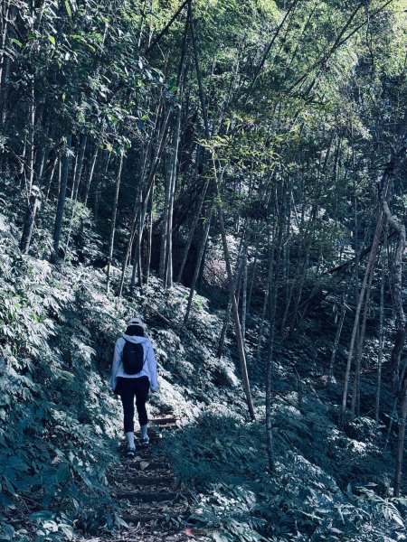 小百岳石壁山三峰縱走2680693