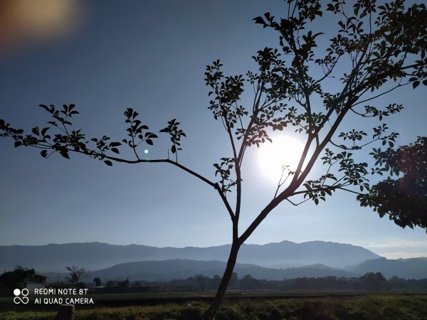 台東關山1268439