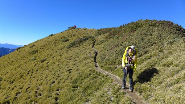 大好天氣的奇萊東稜488905
