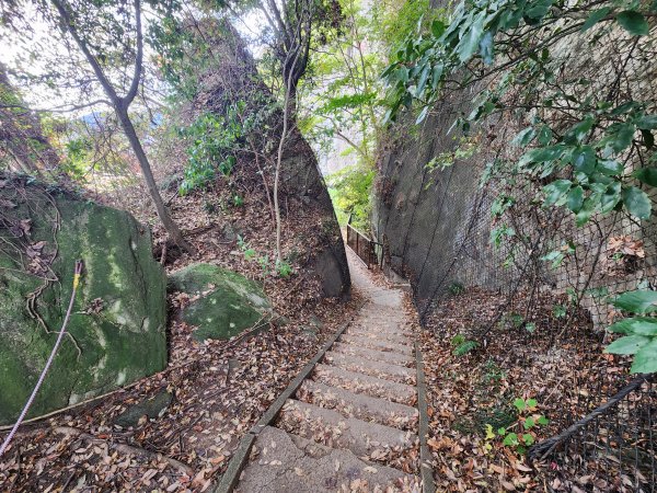 20251129鷹取山神武寺山2963979