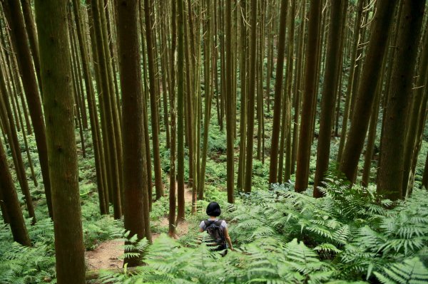 與孩子爬山：真實的勇敢