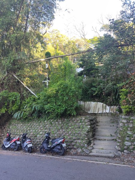 微笑山線：【大棟山系】405高地段2942546