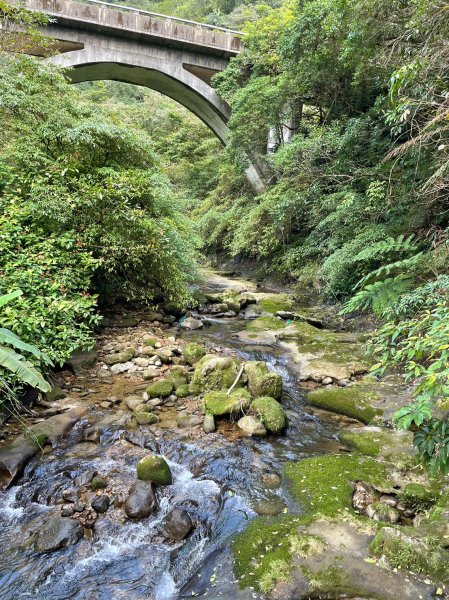 野人谷瀑布群1974228