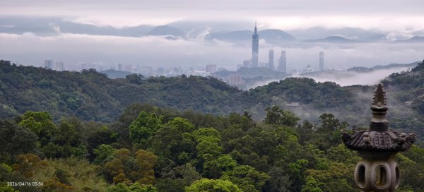 #陽明山 #琉璃光 #紅斑蛇 #新店四十份 #雲瀑 #翡翠水庫壩頂 #日出 #雲海 4/16&183037629