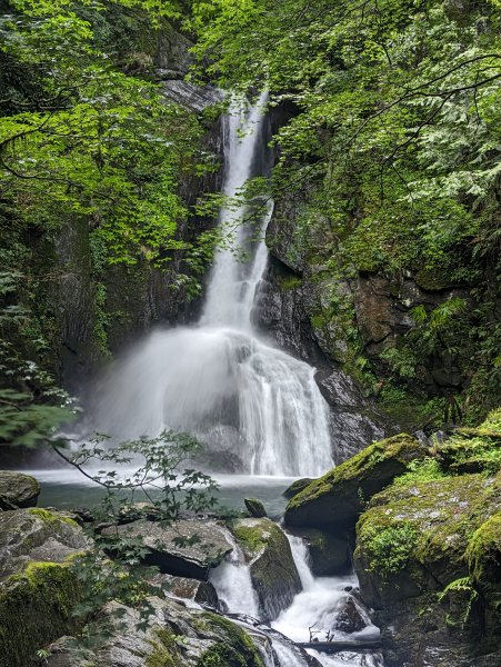 大霧籠罩的世紀奇峰「大霸尖山」2185291