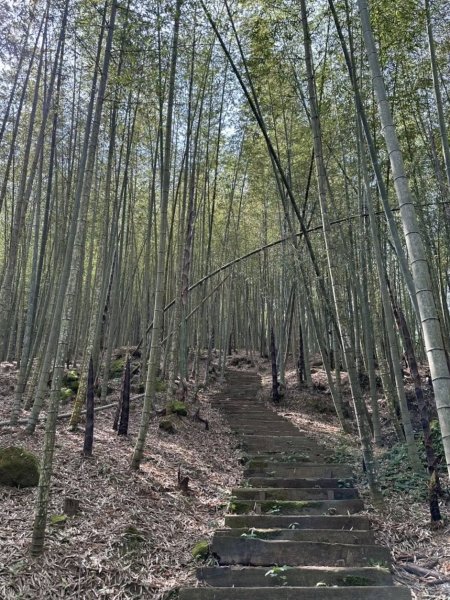 20250427小百岳石壁山2776716