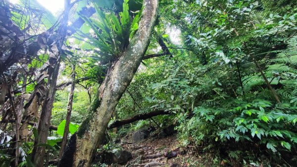 連走溪洲山石門山2582959