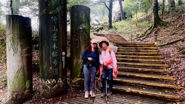 🌈3/28（六）觀霧檜山巨山步道×瀑布步道✨FB：熊熊趴爬走🌈3025233