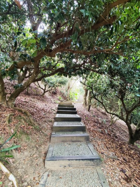 三汀山+暗影山2721159