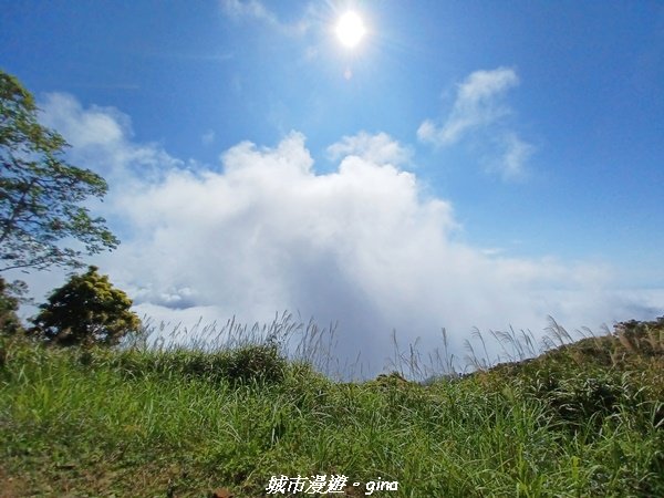 【台南。 楠西】滿滿的雲海太驚豔。 小百岳集起來。 編號67小百岳~竹子尖山步道1605944