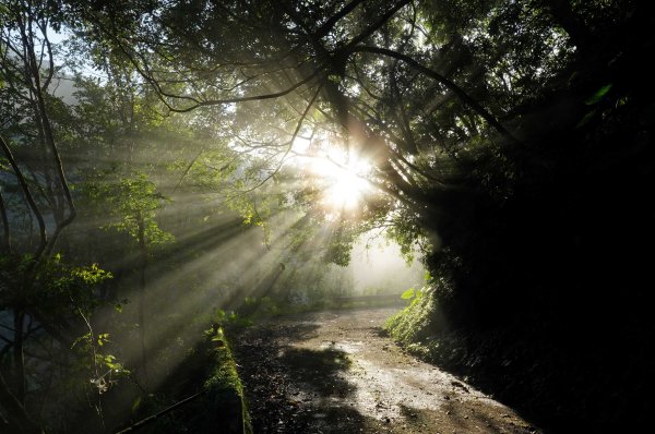新北 烏來 大礁溪山2821584
